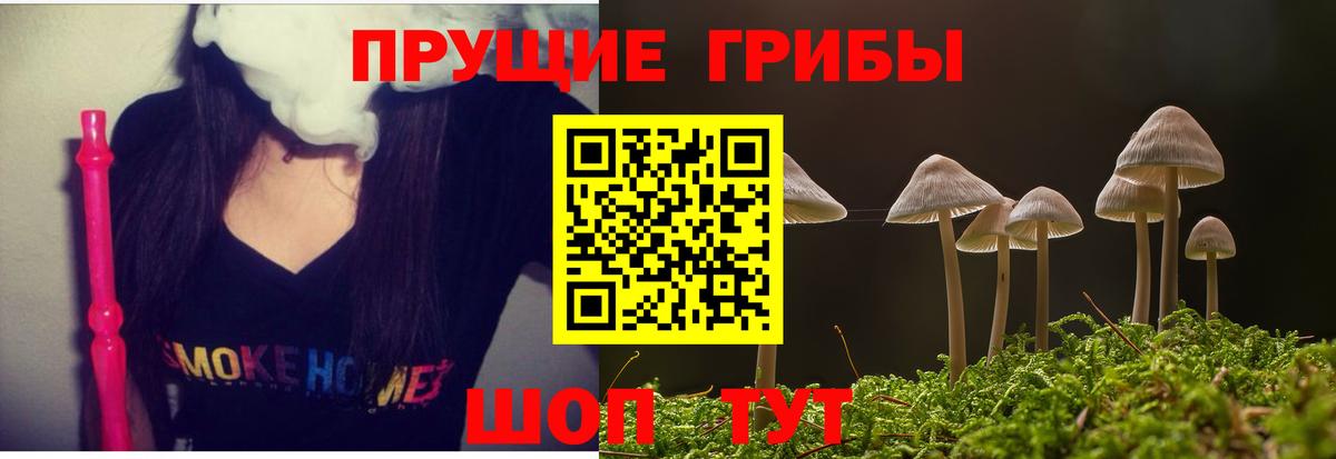 Псилоцибиновые грибы GOLDEN TEACHER  Вход с VPN  Лосино-Петровский 